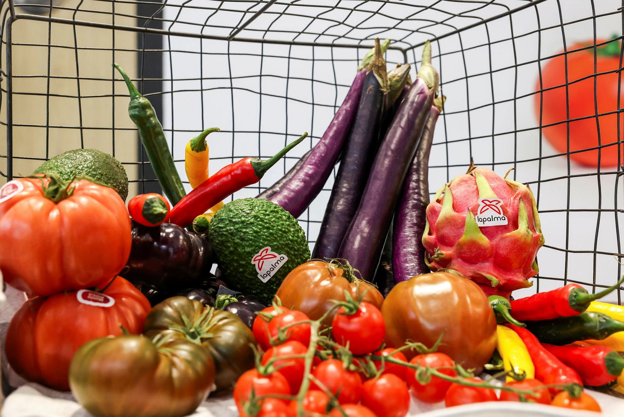 Long purple aubergines, heirloom tomatoes, chillies and dragon fruit displayed in a wire basket.